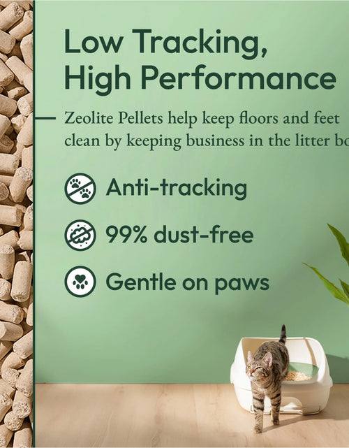 Load image into Gallery viewer, Purina  Breeze Cat Litter System Refill Pack with Ion Cat Litter Pads and Zeolite Pellet Cat Litter
