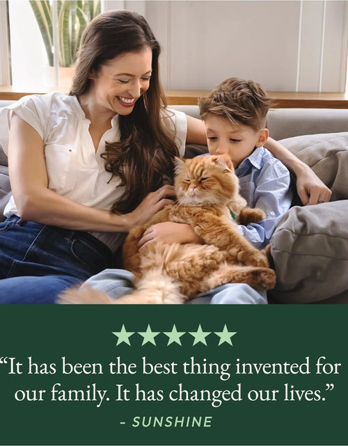 Load image into Gallery viewer, Purina  Breeze Cat Litter System Refill Pack with Ion Cat Litter Pads and Zeolite Pellet Cat Litter
